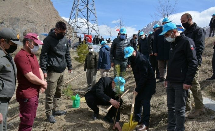 Hakkari’de bin 500 fidan toprakla buluşturuldu