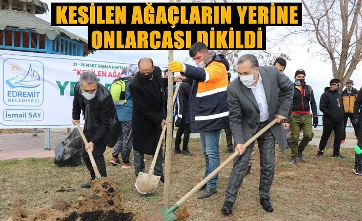 Kesilen ağaçların yerine onlarcası dikildi