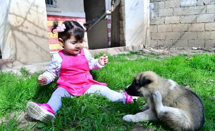 Minik Nisa’ya köpek hediyesi