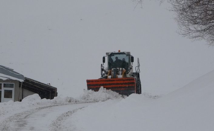 Muş’ta 234 köy yolu ulaşıma kapandı