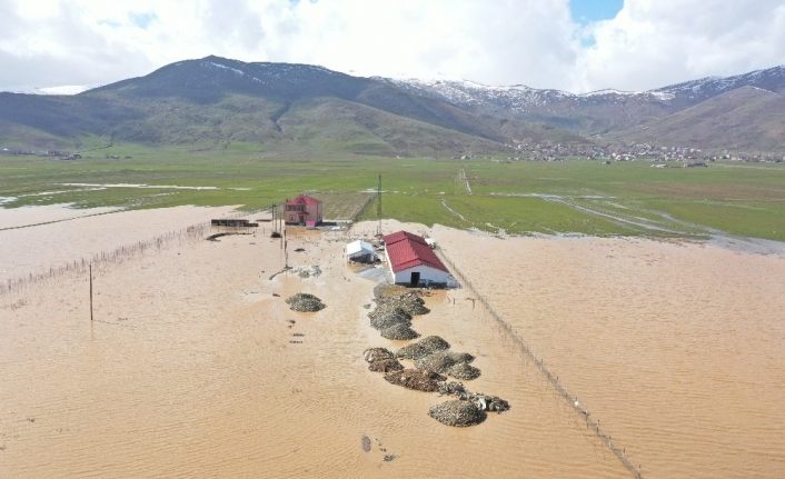 Muş’ta tarım arazileri ve hayvan çiftlikleri su altında kaldı