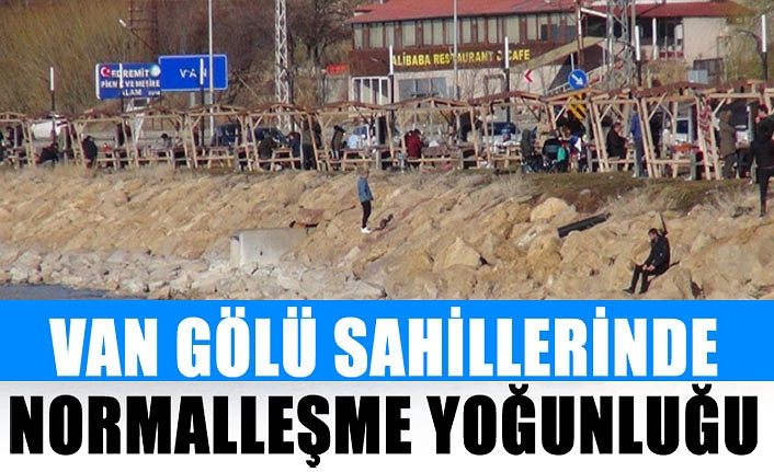 (Özel) Van Gölü sahillerinde normalleşme yoğunluğu