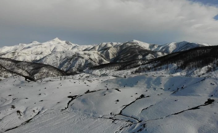 Şenyayla bölgesinin Muş’a bağlanması