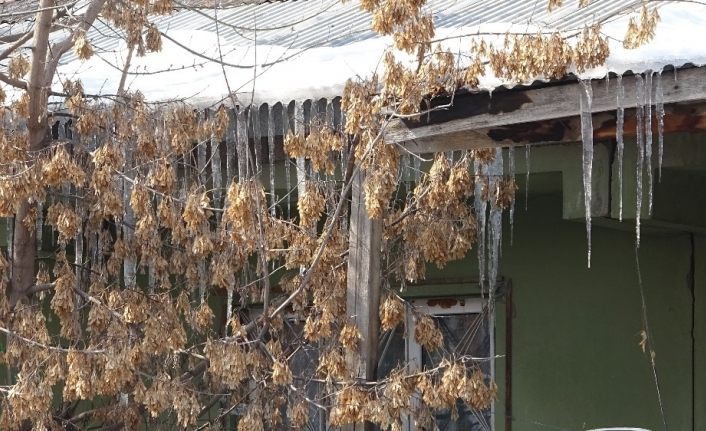 Soğuk hava Ağrı’da etkili olmaya devam ediyor