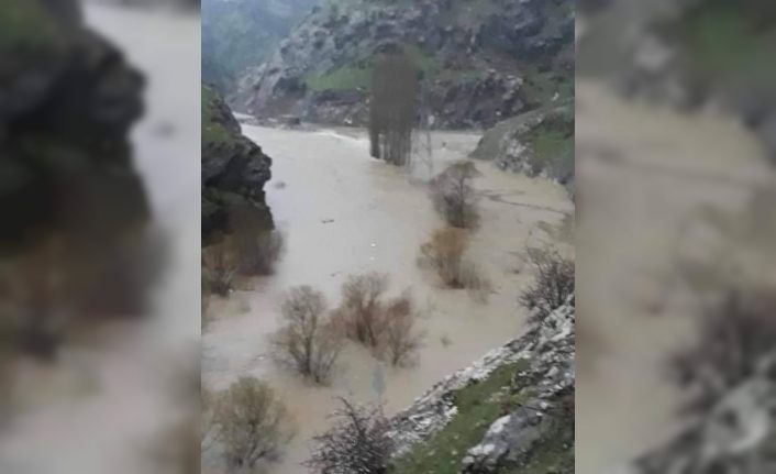 Taşan dere suları Derecik karayolunu kapattı