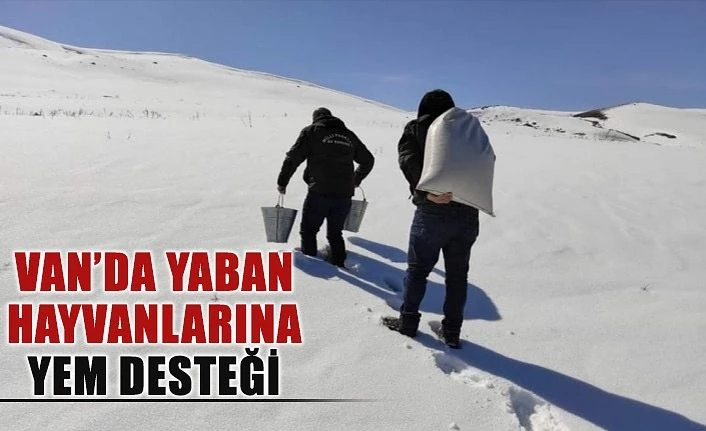 Van’da yaban hayvanlarına yem desteği