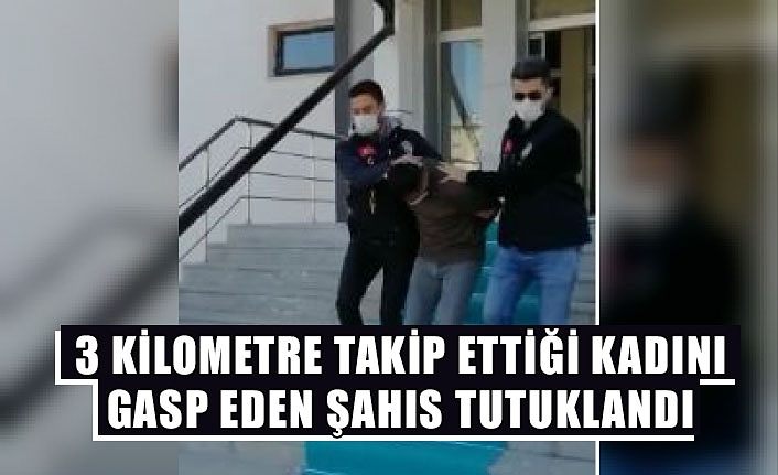 Van'da 3 kilometre takip ettiği kadını gasp eden şahıs tutuklandı