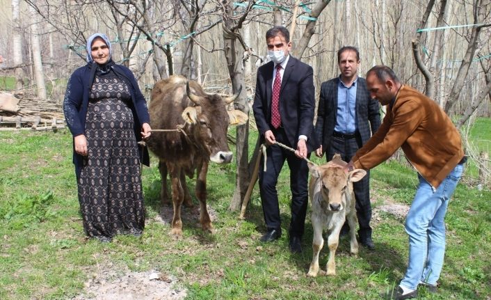 Bakan Pakdemirli’den, Diyarbakır annesine inek ve buzağı