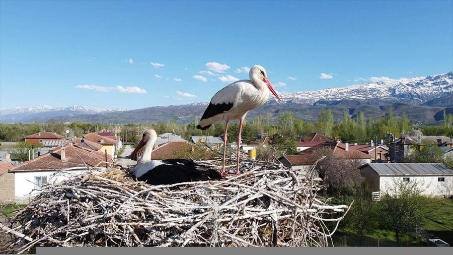 Erzincan
