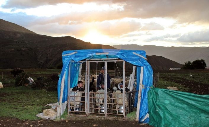 Erzincan’da sahur sofralarının vazgeçilmezi tulum peyniri