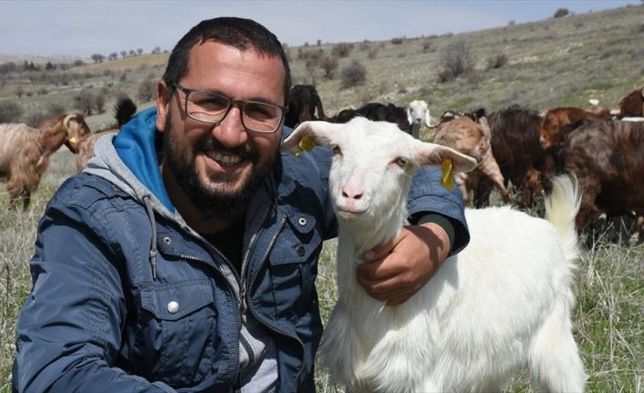 İnşaat şirketini kapatıp kurduğu keçi çiftliğinde süt talebine yetişemiyor