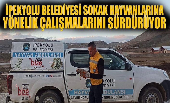 İpekyolu Belediyesi sokak hayvanlarına yönelik çalışmalarını sürdürüyor