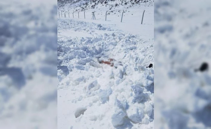 İran sınırında erkek cesedi bulundu