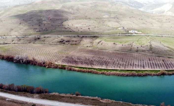 Mevsimlik işçilerin ağaç budama mesaisi