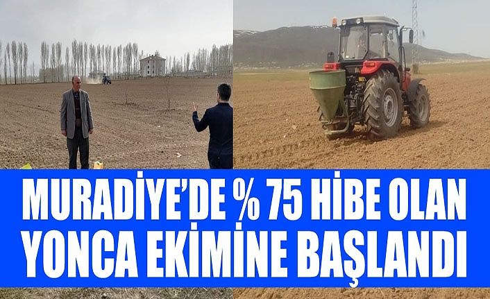 Muradiye’de % 75 hibe olan yonca ekimine başlandı