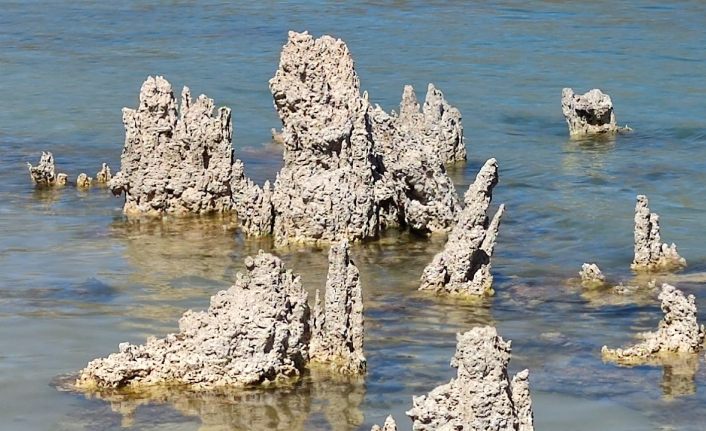 Van'da aslan siluetine benzeyen mikrobiyalit ilgi çekiyor