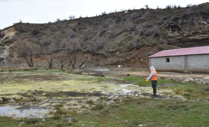 Tatvan’daki park ve yeşil alanlarda lavra ilaçlama çalışması