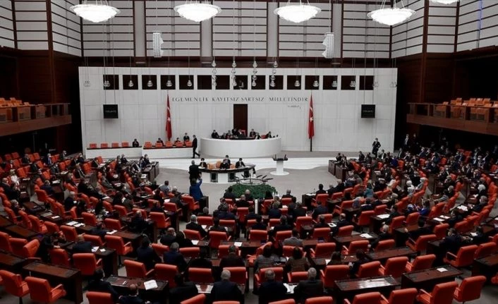 TBMM Genel Kurulunda oylama yenilenmesi örnekleri daha önce de yaşandı