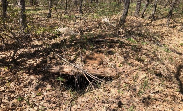 Tunceli’de ’Eren-7 Operasyonu’nda 9 sığınak imha edildi