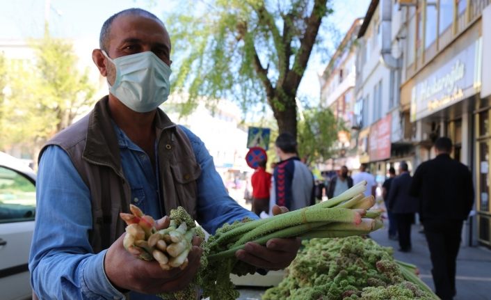 Tunceli’de ’Yayla Muzu’ tezgahlardaki yerini aldı