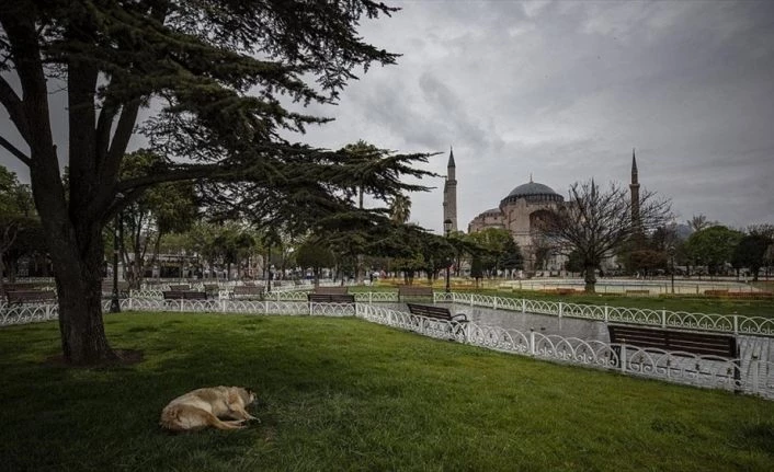 Türkiye, Kovid-19 tedbirleri kapsamında 29 Nisan-17 Mayıs arasında 