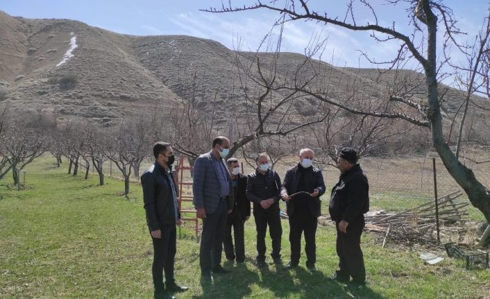 Tuşba Belediyesinden çiftçilere uygulamalı ağaç budama eğitimi