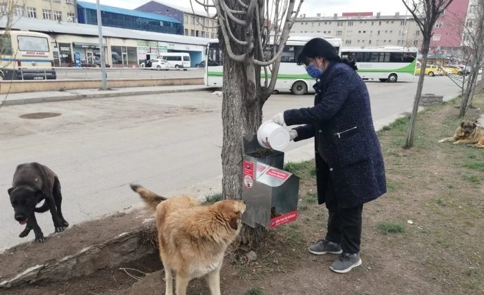 Vali Belediye Başkanı Öksüz, “Can Dostlarımıza hep birlikte sahip çıkalım”