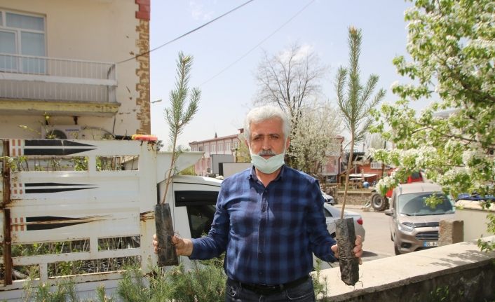 Varto’da fidan dağıtımı