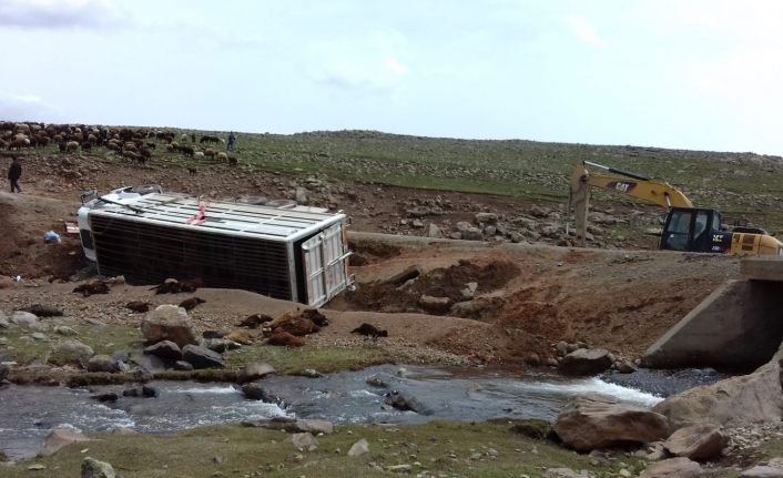 Virajı alamayan kamyonet yan yattı: 50 koyun telef oldu