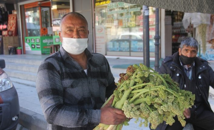 “Yayla Muzu” tezgâhlardaki yerini aldı