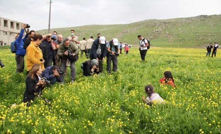 Ağrı 2. Ulusal Foto Safari Fotoğraf Yarışmasında fotoğraf çekimleri tamamlandı
