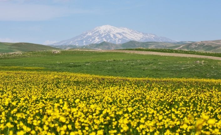 Ahlat’ta renk cümbüşü