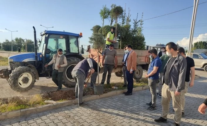Başkan Vekili İlidi: “2021 yılında 300 bin metrekare parke döşeyeceğiz”