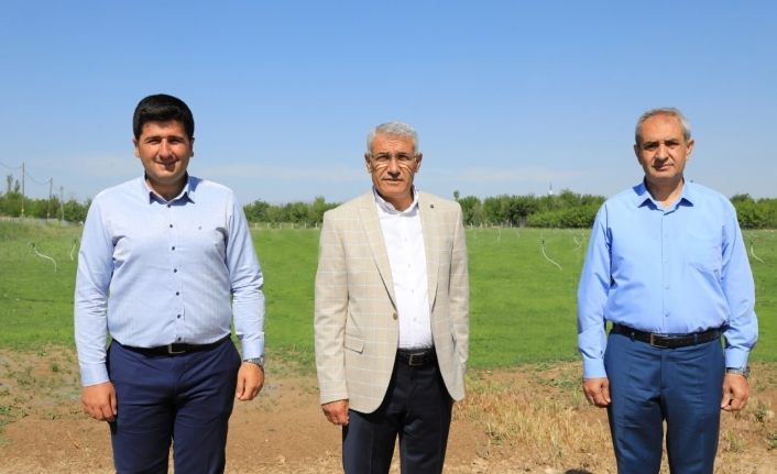 Battalgazi Belediyesi ‘rulo çim üretim tesisi’ kurdu