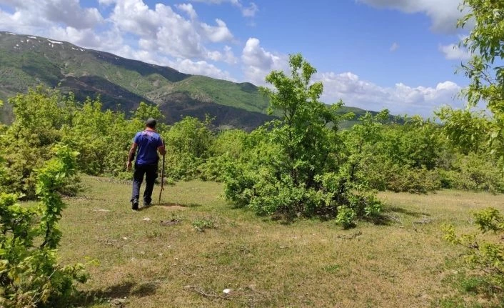 Bingöl’de kayıp yaşlı adamı, arama çalışmaları 1 aydır sürüyor
