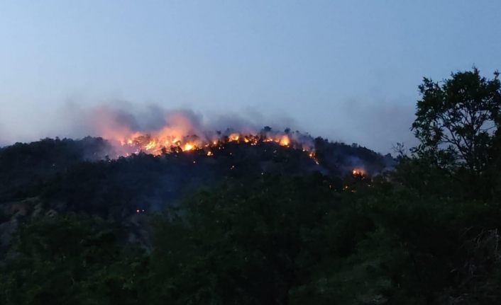Bingöl’de orman yangını 2 günde kontrol altına alınabildi