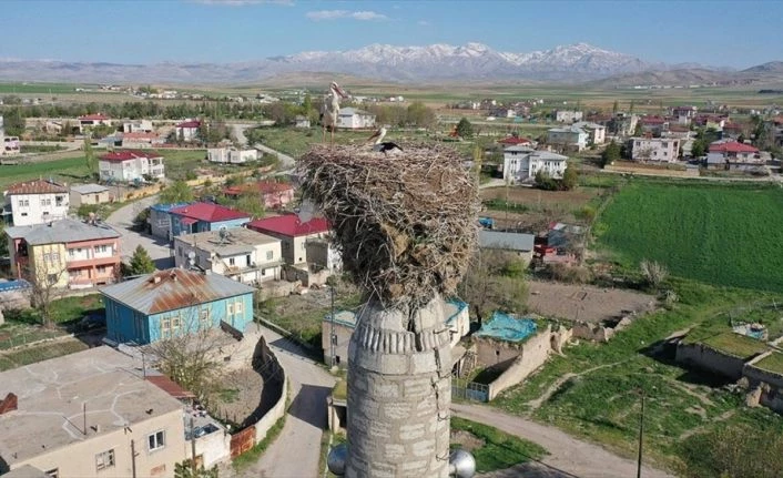 Çiçekli köyü camisindeki yuva leyleklerin 62 yıldır değişmeyen adresi oldu