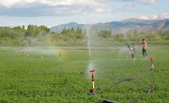 Çiftçiden kuraklık endişesine sondajlı çözüm