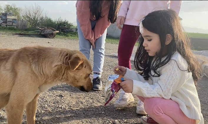 Cips yiyen köpekten sevimli hareketler