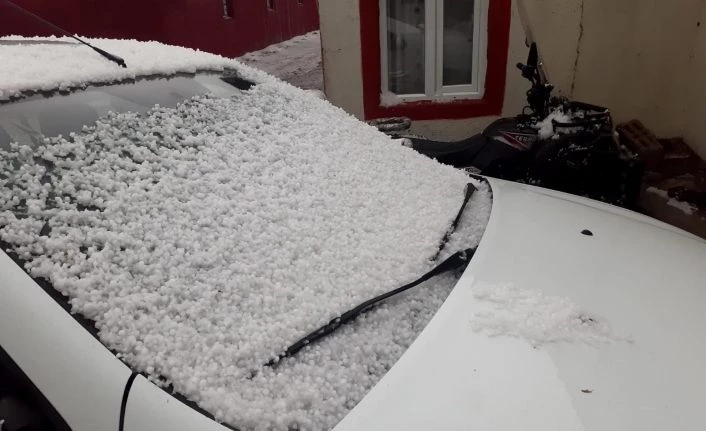 Dolu yağışı beyaza bürüdü. Şiddetli fırtına seralara zarar verdi, ağaçları devirdi