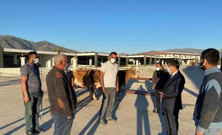 Erzincan’da hayvan pazarı, tekrardan açıldı