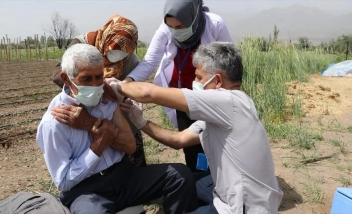 Hastaneye gitme fırsatı bulamayan Erzincanlı çiftçi aile çapa yaptıkları tarlada aşılandı