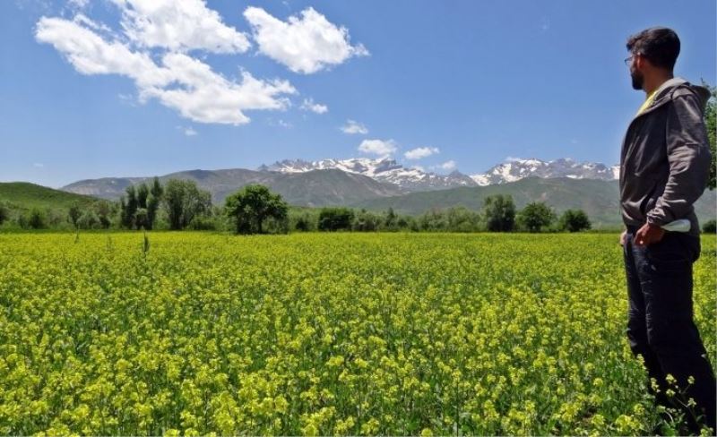 İsviçreli turist Yüksekova dağlarına hayran kaldı