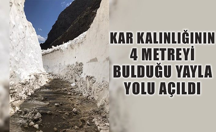 Van'da kar kalınlığının 4 metreyi bulduğu yayla yolu açıldı