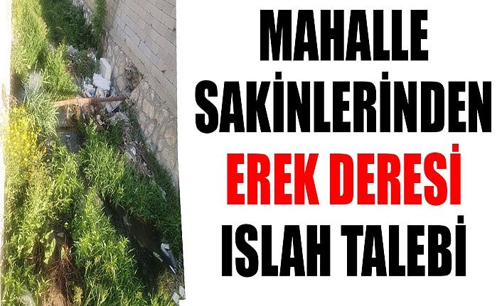 Mahalle sakinlerinden Erek Deresi ıslah talebi