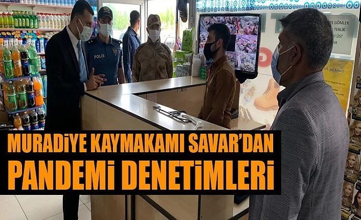 Muradiye Kaymakamı Savar’dan pandemi denetimleri