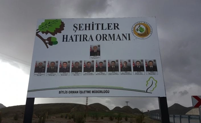 Bitlis’teki helikopter şehitleri anısına hatıra ormanı oluşturuldu