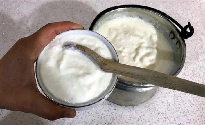 Sağlıklı bir bağışıklık sistemi için 