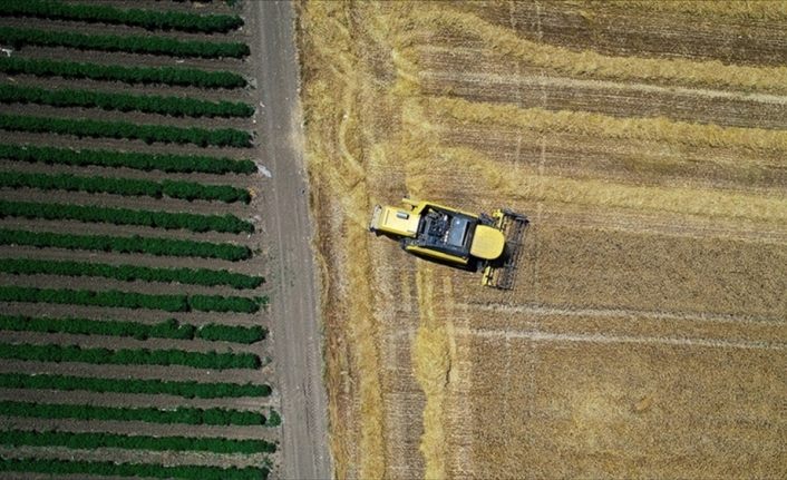 Tarım ihracatında Almanya ve Irak ön plana çıktı