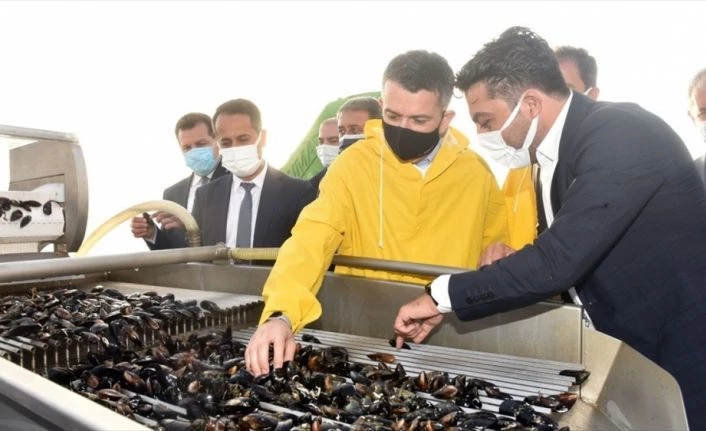 Tarım ve Orman Bakanı Pakdemirli